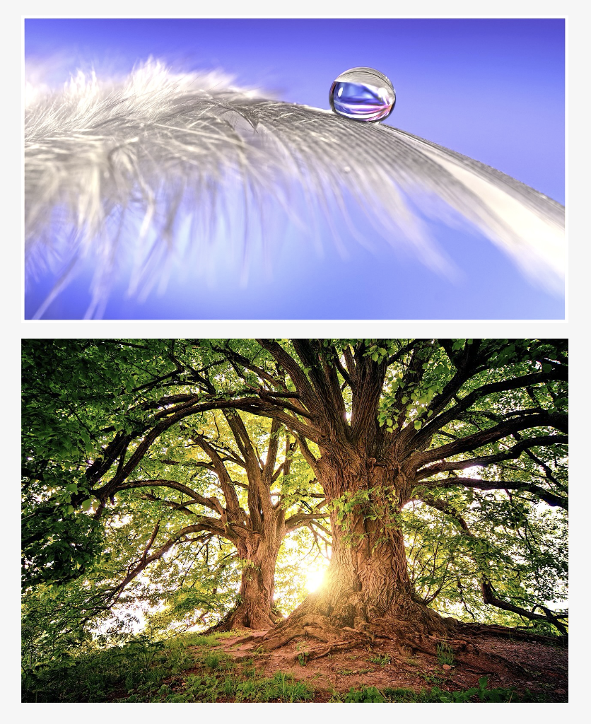 Hypnose Ericksonienne Douce visualisation des ressources autour du calme naturel